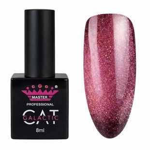 Гель-лак Master Professional Cat Galactic 02, 10мл