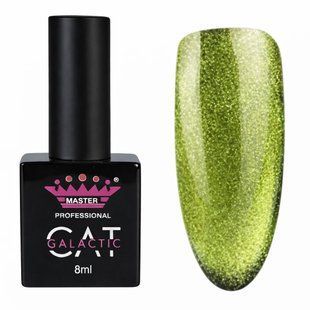 Гель-лак Master Professional Cat Galactic 06, 10мл