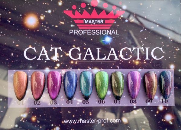 Гель-лак Master Professional Cat Galactic 06, 10мл