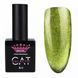 Гель-лак Master Professional Cat Galactic 06, 10мл