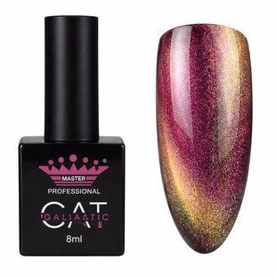 Гель-лак Master Professional Cat Galactic 07, 10мл