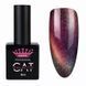 Гель-лак Master Professional Cat Galactic 09, 10мл