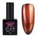 Гель-лак Master Professional Cat Galactic 01, 10мл